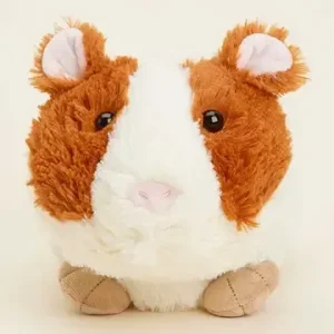 guinea pig warmies